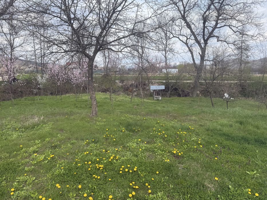 Vand casa batraneasca si teren