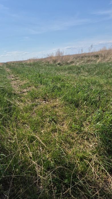 25 гектар жер сатылады