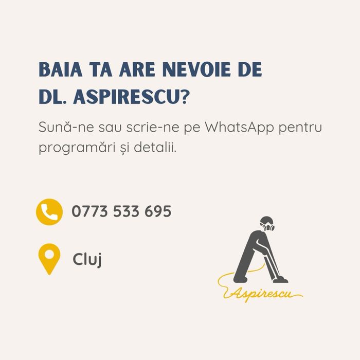 Pachet Igienizare Baie - Cu Abur