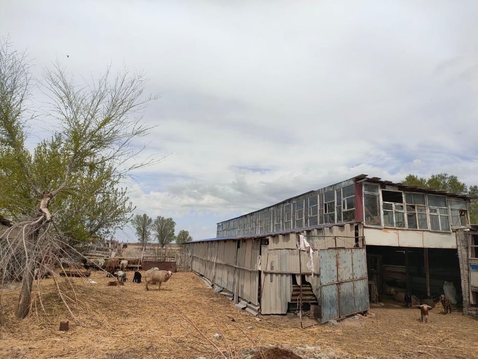 Магазин, дом , фазенда