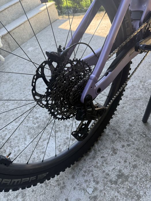 2025 Scott Patron 910
