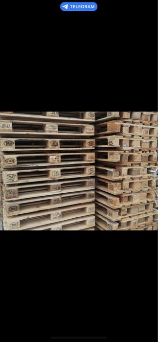 Paddon. Поддон. Yog’och plastmas. Uzbekiston boylab