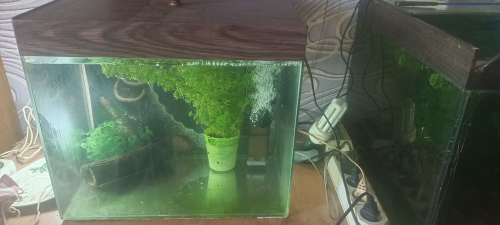 аквариум 40л продам