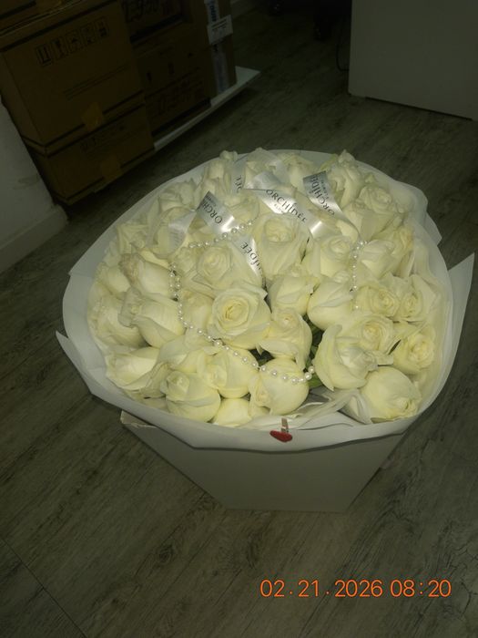 Белые розы 51 шт