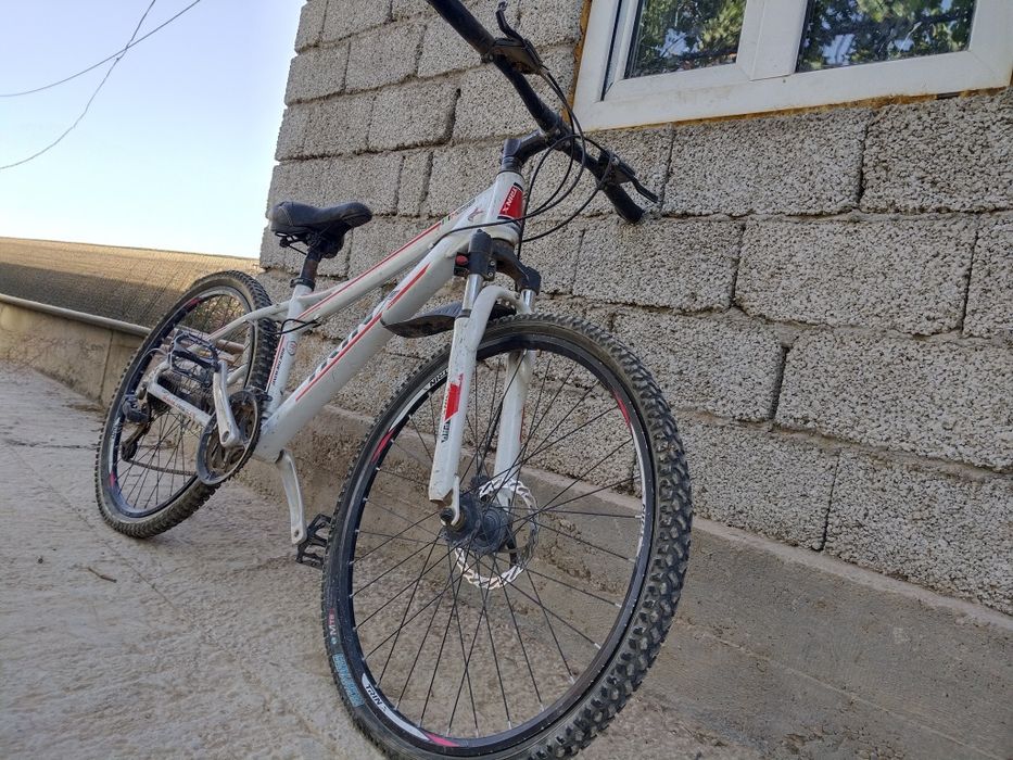 VIVO Y100 и Веласипед