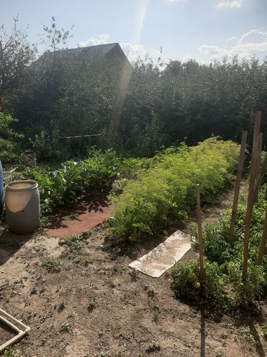 Срочно продам дачу