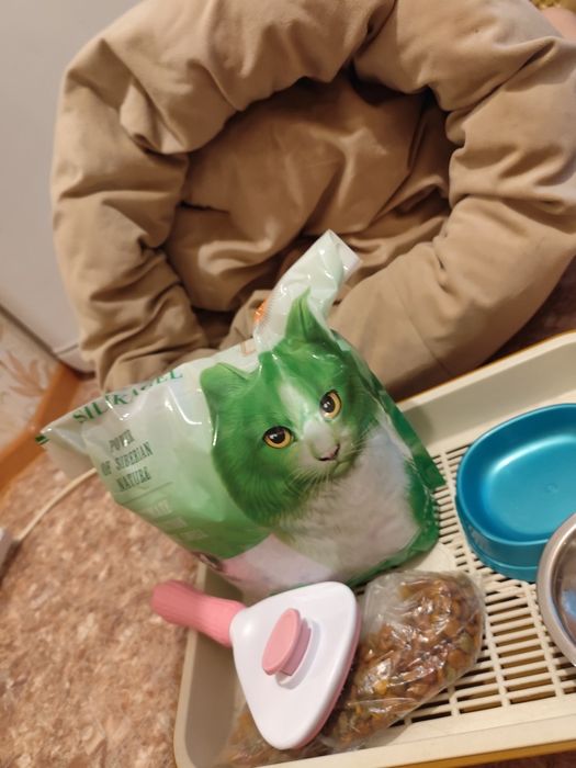 Продам для кошек товары