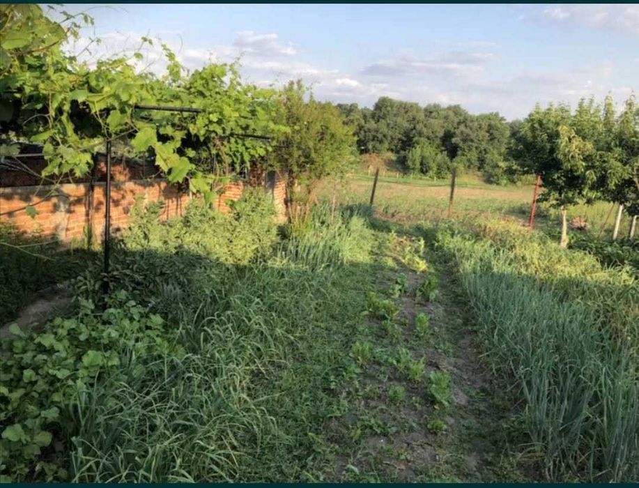 Продава се  в Симеоновград -  кв.м за 0 €/ - Снимка #8