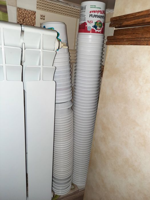 Баночки от сметаны для рассады. Чистые