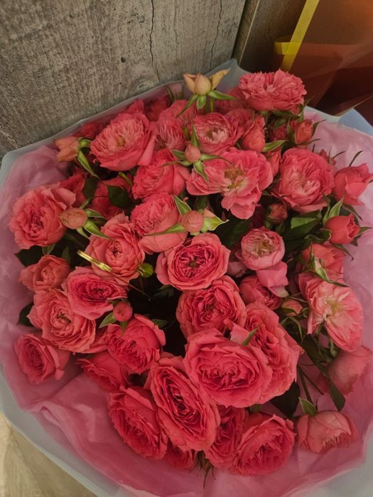 Продам продам светы