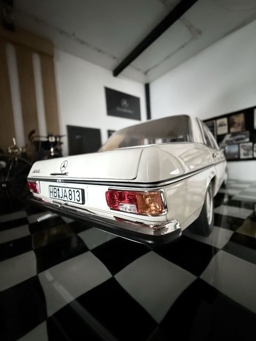 Mercedes Bot de Cal