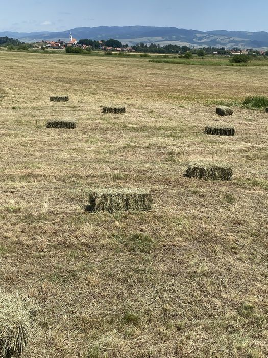 Baloti de fan, anul 2025