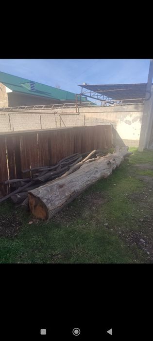 Продам дуб дерево