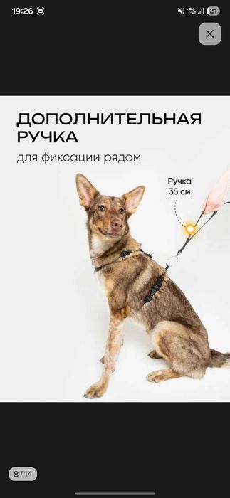 Поводок для собак 10м ProComfort