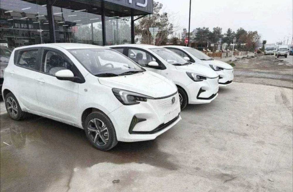 changan ben ben rassrochkaga