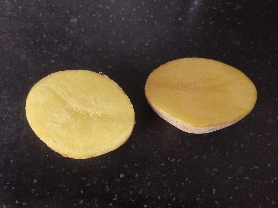 Семенной картофель