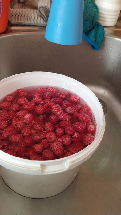 Продам варенье ягоды выращенные на даче.