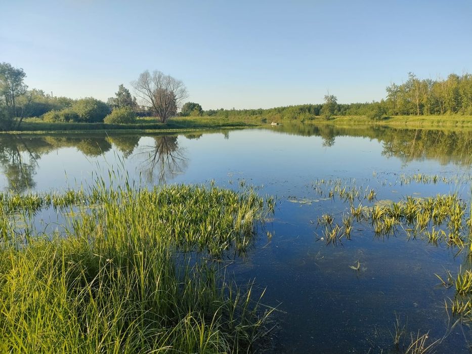 Продам дачный участок