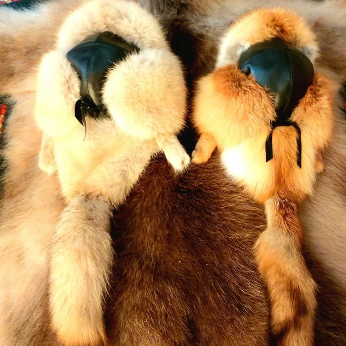 Шапки, меховые изделия.