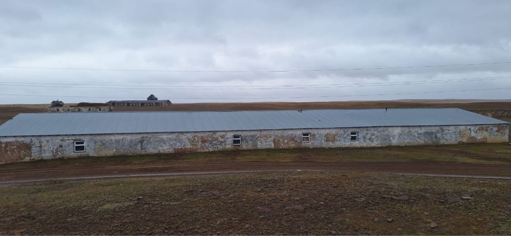 Хозяйство фермерское