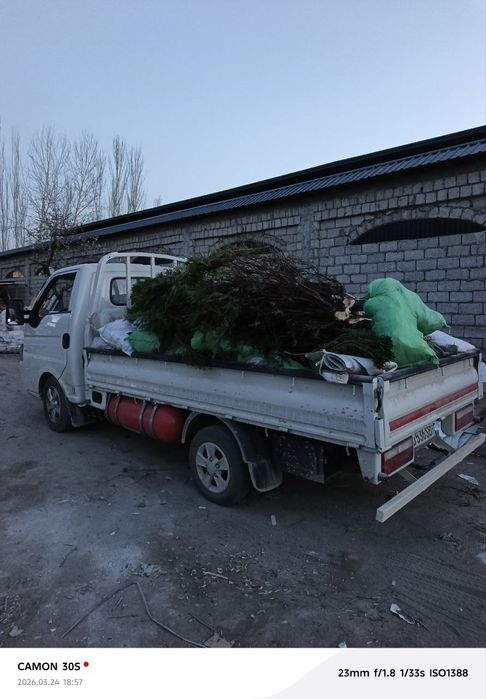 Вывоз мусора. Мусор. Мусир. Муср ташиш хизмати ШЕНИРАЙ ЧАНГАН ЛАБО 24/