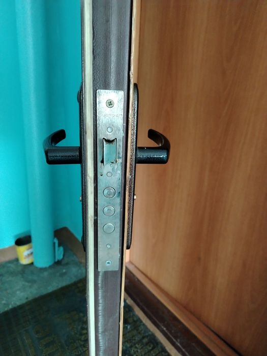 Дверь металлическая