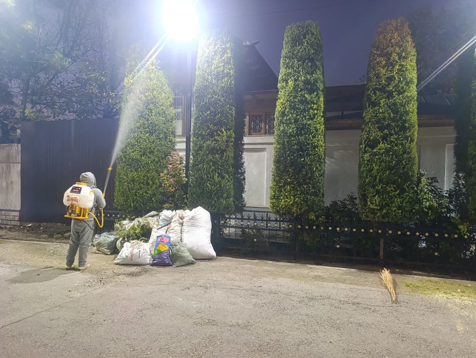 Дизенфекция Дорилаш