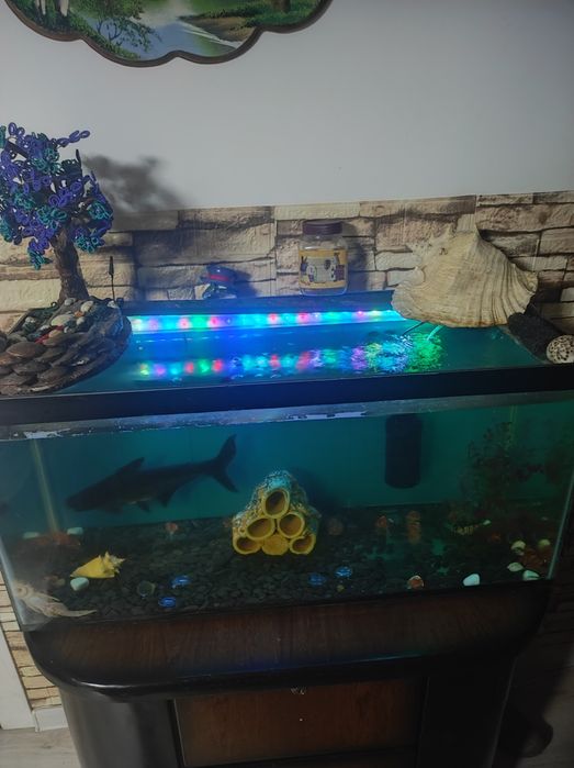 Аквариум 150 литров вместе с рыбками.