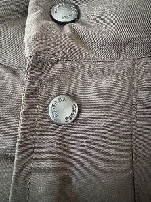 Vesta canada goose