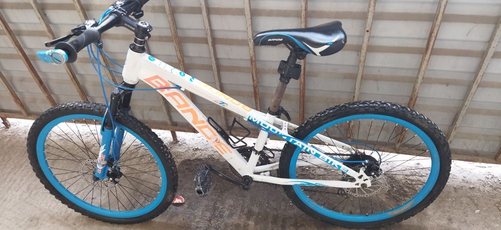 Ішімдік ішкен әйелді есегіне сиғызды