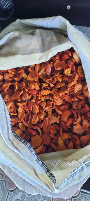 Яблоки сушеные дачные