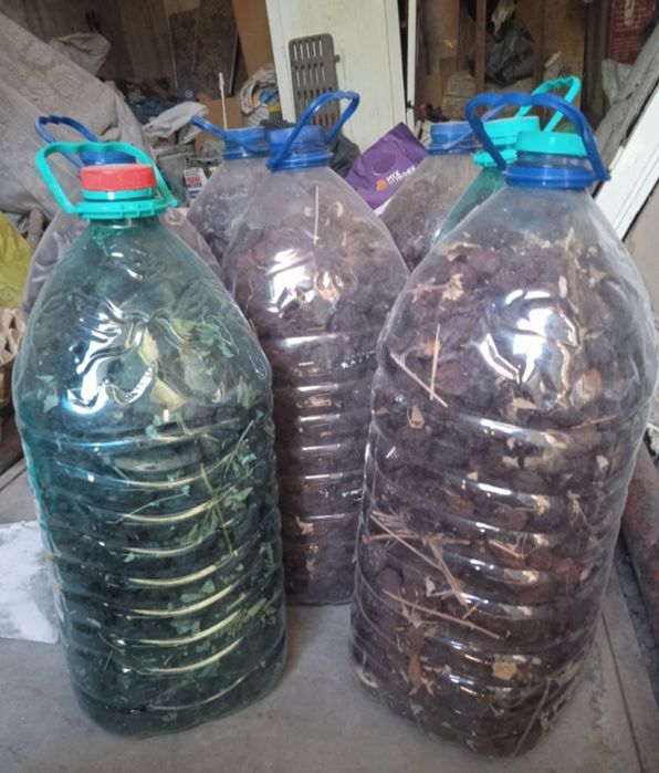 Продам Абрекозни туршак Урик коки сотилад