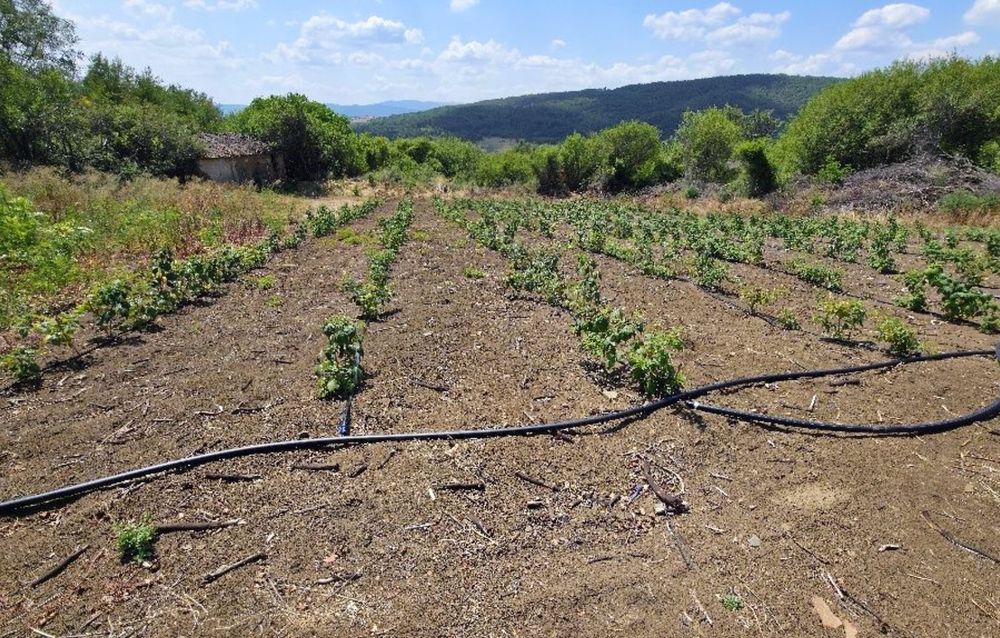 Продава се парцел в село Прибой,  област Перник