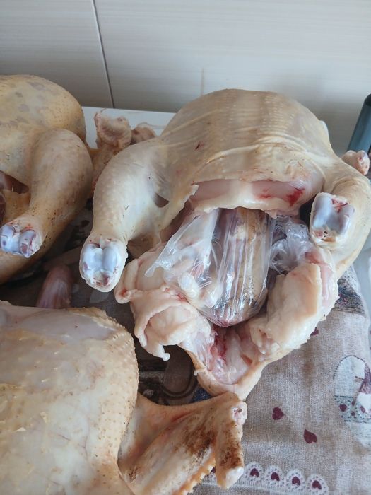 Pui ai gaini crescuti in goapodarie