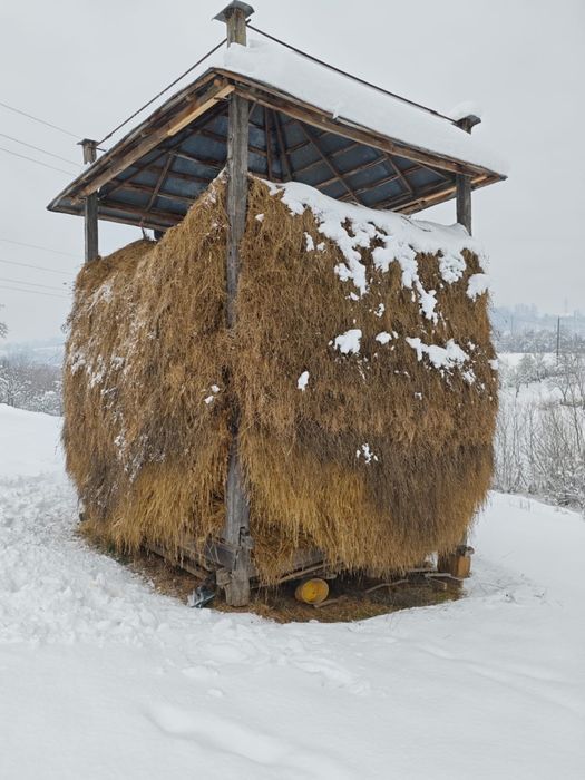 Fân și otavă de vânzare