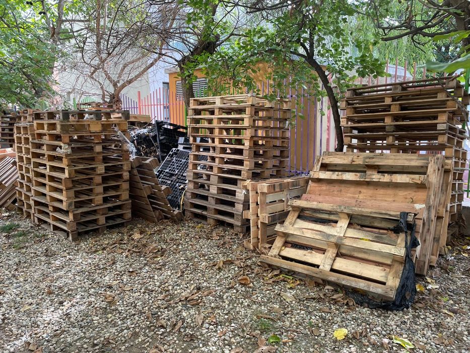 Paleti din lemn europaleti si non euro   pret bun daca se iau toti !