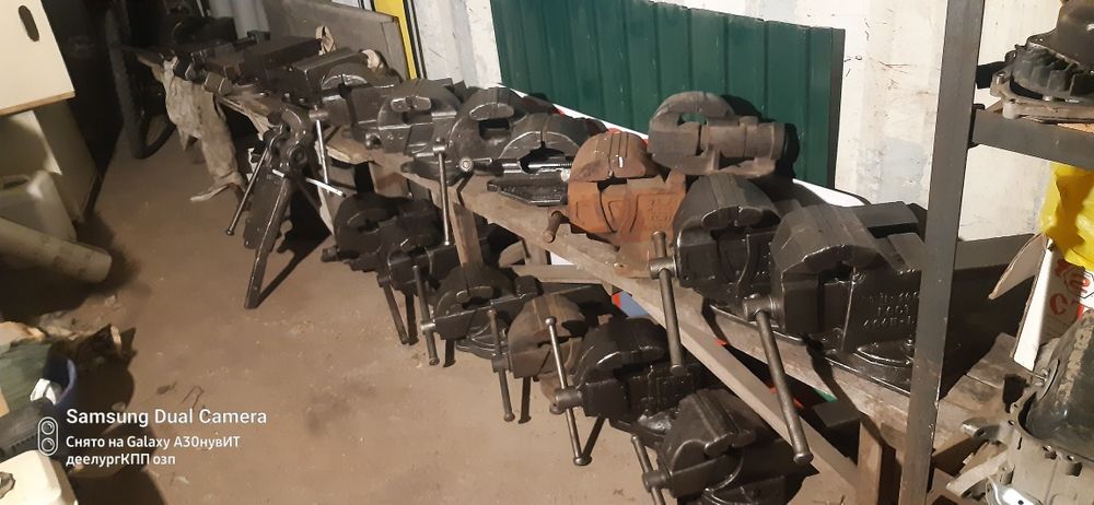 тисы средние СССР