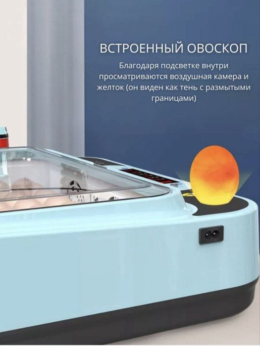 Inkubator avtamat ishlatilinishi zo'r