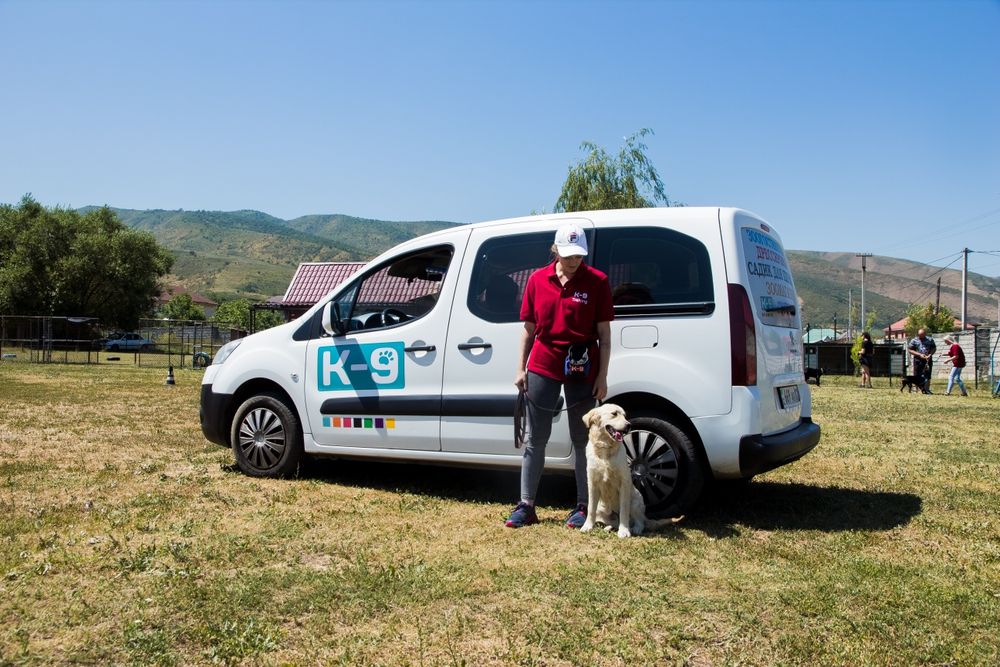 Профессиональная дрессировка собак