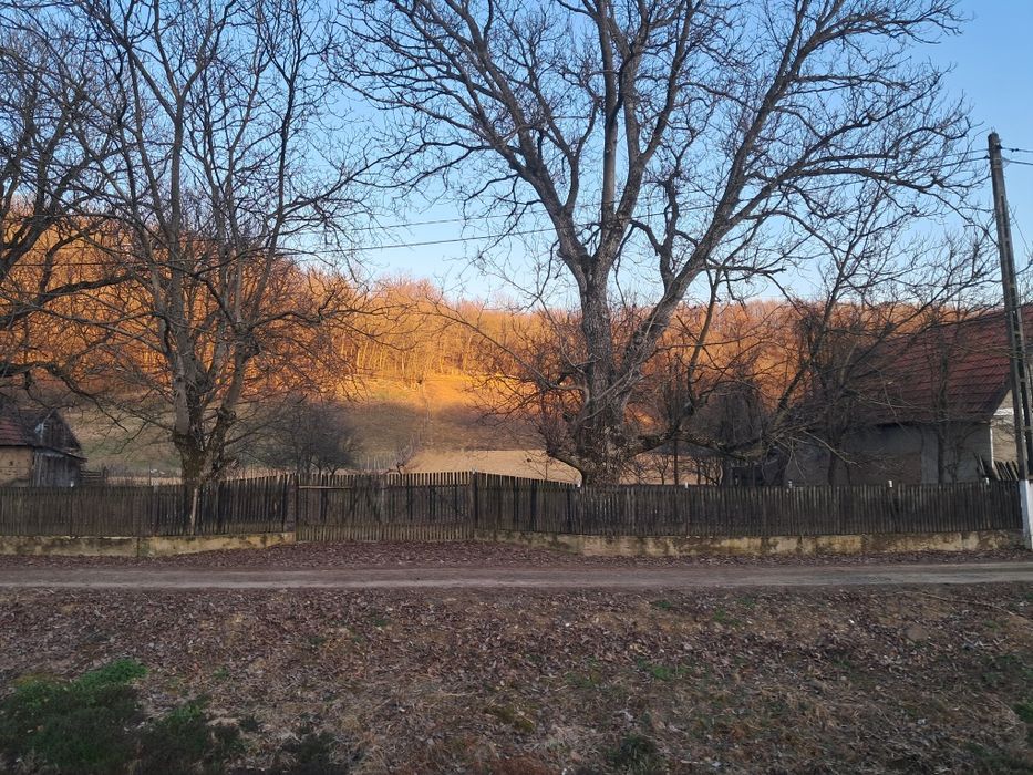 Vând teren intravilan