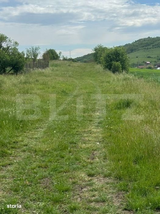 Teren 2900 mp, la strada asfaltata, utiltati -Ocna Dej