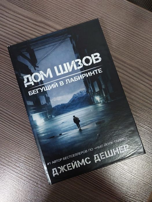 Книга Дом шизов. Бегущий в лабиринте