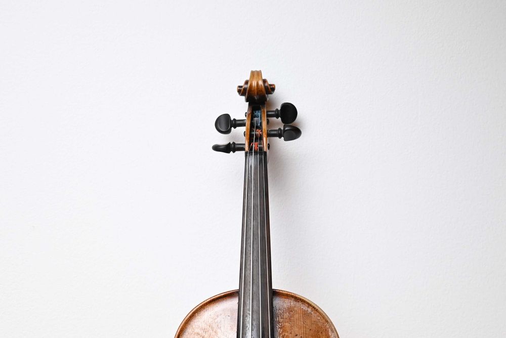 vioara 4/4 intreaga model Nemtesc