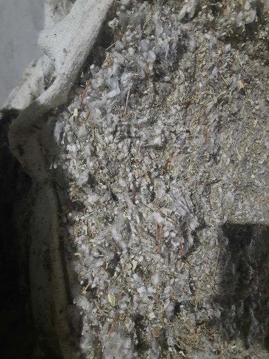 Пахта маҳсулоти ем