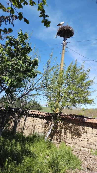 Продава се Къща в с. Каменец, Област Плевен - 100 кв.м за 203 €/кв.м - Снимка #8