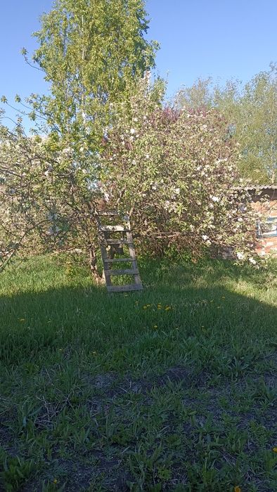 Продам дачу в черте города