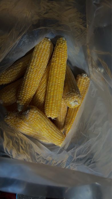 Porumb congelat