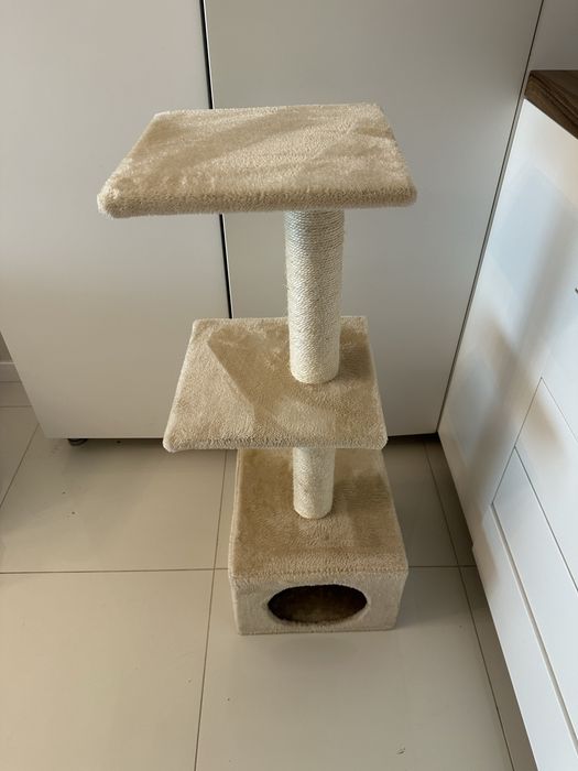 Ansamblu joaca pisici