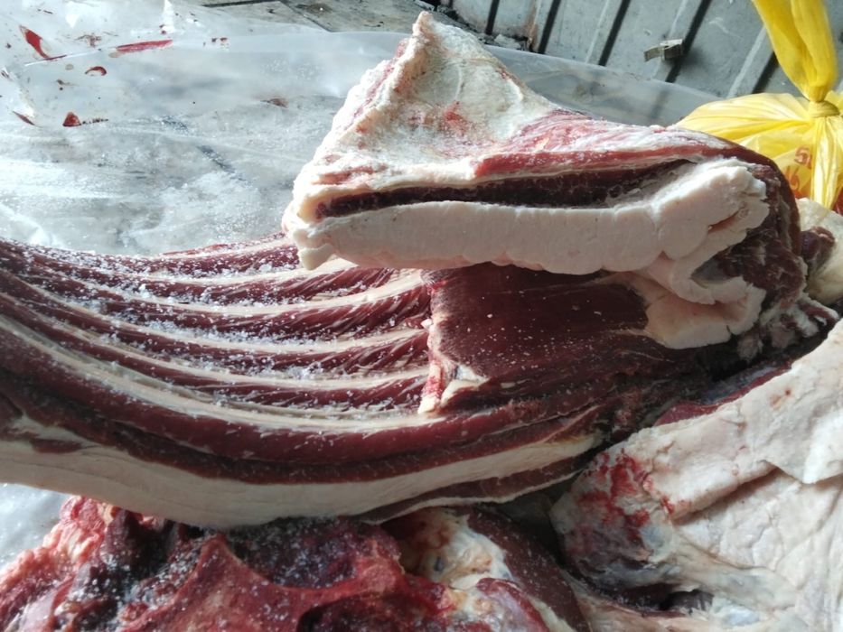 Продается конина‼️‼️