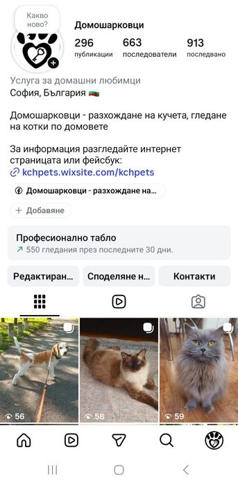 Гледане на кучета и котки по домовете - Домошарковци